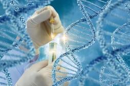Cancer colorectal héréditaire : un test génétique permet de détecter les personnes à risque