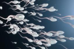 Infertilité masculine : le rôle du microbiome du sperme ?