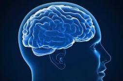 Epilepsie : un enfant de 6 ans soigné grâce à l'ablation d'une partie de son cerveau