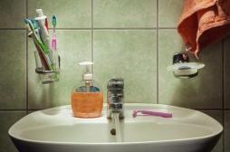 Savons, gels douche, dentifrices : leur composition rend les bactéries résistantes à nos antibiotiques