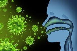 Epidémie de grippe : déjà 1800 morts depuis le début de l'hiver