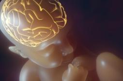 Bébé : de minuscules microbes influencent le développement du cerveau