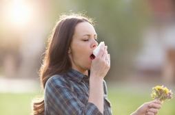 Allergie aux pollens : alerte rouge sur la France cette semaine