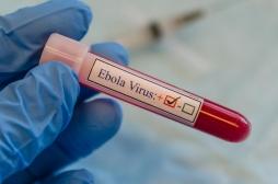 Ebola : le virus se serait caché pendant 5 ans dans le corps d’un patient avant de réapparaître