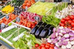 Nutrition : découvrez les fruits, légumes et fleurs comestibles de saison pour des plats riches en couleurs