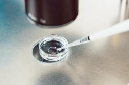 FIV : pourquoi il faut faire confiance à l’ovulation naturelle