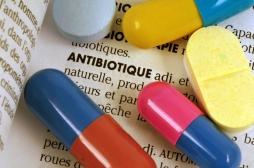 Un excès d'antibiotiques après 40 ans amplifie le risque de maladie intestinale