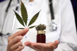 Cannabis thérapeutique : l’expérimentation devrait débuter en septembre 