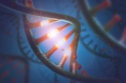 Mutations génétiques : inquiétudes pour les jumelles 