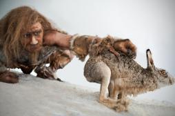 Gènes : Néandertal incompatible avec l’homme moderne 
