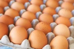 Fipronil : la liste des produits retirés s’allonge