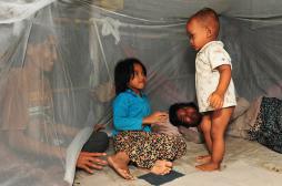 Paludisme : la résistance au traitement confinée à l'Asie du Sud-Est