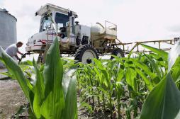 Ségolène Royal souhaite l'interdiction de certains herbicides