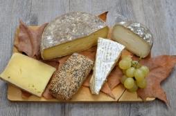 IG Nobel : des travaux français sur le fromage récompensés