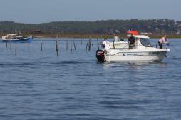 Bassin d'Arcachon : moules et coquillages à nouveau consommables