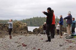 Le Tai Chi améliore la santé cardiovasculaire