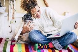 Anxiété : caresser des chiens et des chats réduit le stress 