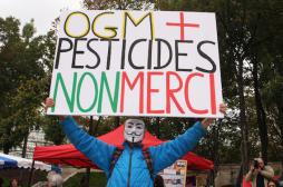 La Commission européenne autorise l’import de 19 OGM