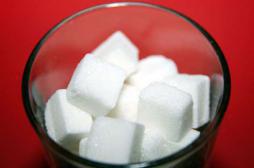 Régimes : éliminer les sucres n’est pas efficace