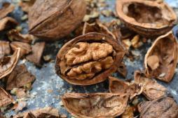 Manger des noix réduit le risque de mortalité prématurée