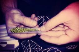 Colorado : quatre fois plus d'intoxications au cannabis