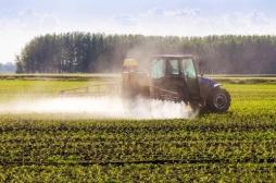Environnement : les Français redoutent les pesticides