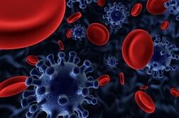 Des cellules CAR efficaces pour éradiquer le virus du SIDA jusque dans ses réservoirs
