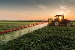 Pesticides : une étude confirme leurs dangers pour le cerveau 