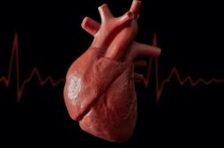 Une nouvelle étude offre de l'espoir aux enfants en attente d'une transplantation cardiaque