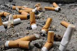Encre des poumons : la campagne anti-tabac qui choque