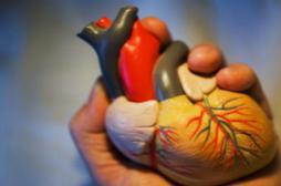 AVC : un risque élevé en cas de malformation cardiaque congénitale