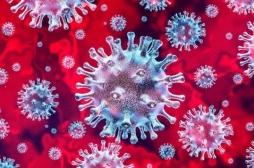 Coronavirus : une trithérapie antivirale montre des résultats prometteurs 