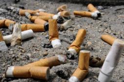 Cancers : un décès sur deux imputable au tabac 