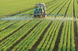 Epandage de pesticides : 2 châteaux bordelais mis en examen 
