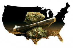 Cannabis : un collectif de médecins plaide pour sa légalisation