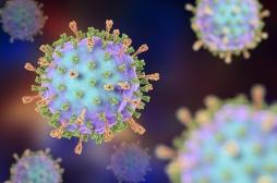 L'analyse des génomes viraux d'une épidémie peut ralentir et arrêter sa propagation