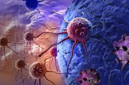 Tumeurs : remettre les cellules à l’heure ralentit leur croissance