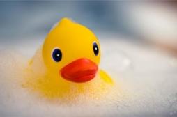 Santé : attention aux vilains petits canards de nos baignoires