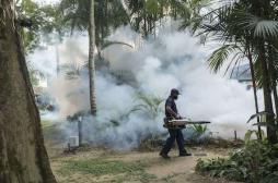 Malaisie : un premier cas autochtone de Zika signalé