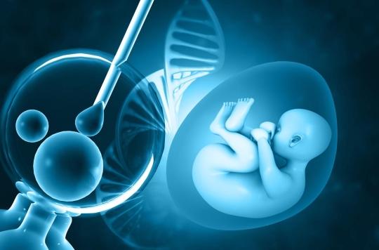 Comment des chercheurs espèrent traiter l'infertilité avec de faux embryons