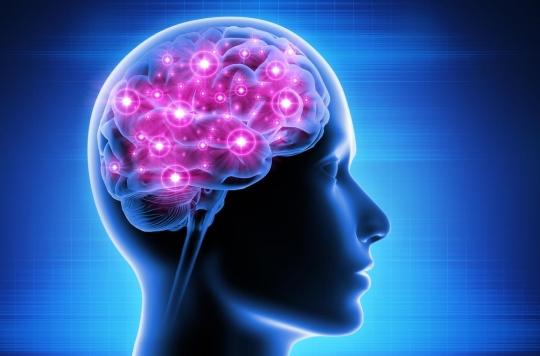 Alzheimer, Parkinson, AVC : on pourrait régénérer les neurones perdus !