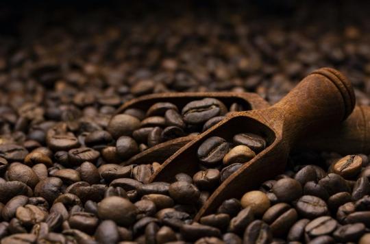 Bienfaits et dangers : vous saurez tout sur le café