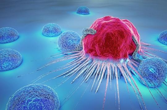Cancer : un nouveau médicament cible plusieurs types de tumeurs