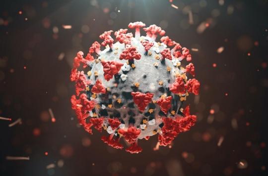 Covid-19 : la mutation du virus va-t-elle s’arrêter un jour ?