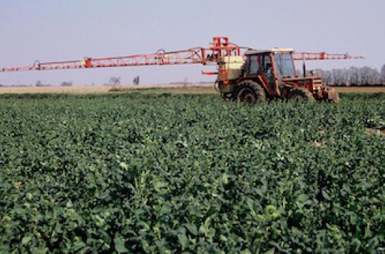  Pesticides: l\'alerte des médecins du Limousin