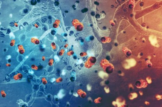 Cancer du côlon : un microbiote altéré peut favoriser son développement