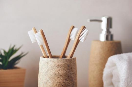 Votre brosse à dents est-elle bonne pour votre santé et la planète ? 