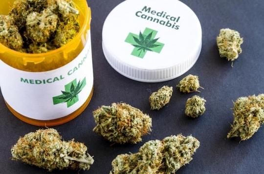 Cannabis thérapeutique: la plupart des médecins qui en parlent à leurs malades ne savent pas si ça fonctionne