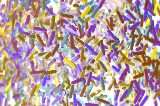 Et si nous avions une identité bactérienne au même titre que la génétique ? 