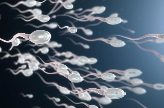 Fertilité masculine : ces pays d'Europe où le sperme est le moins performant 